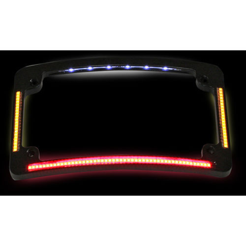 magnetic license plate light